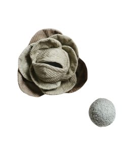 Hundespielzeug Kohlkopf